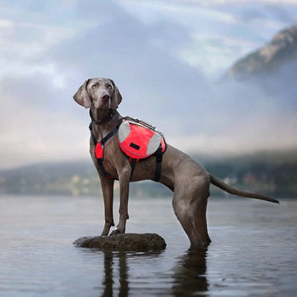 Sac de Voyage Chien - DogBackpack™ - Rouge